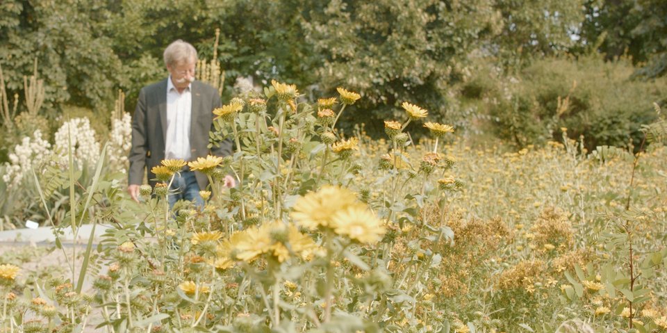 Garten von Horst Pflüger