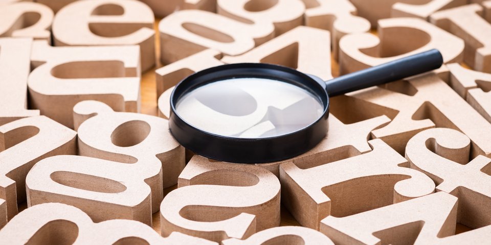 Suche Pflüger-Webseite