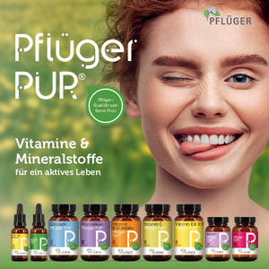 Broschüre "Pflüger PUR®"
