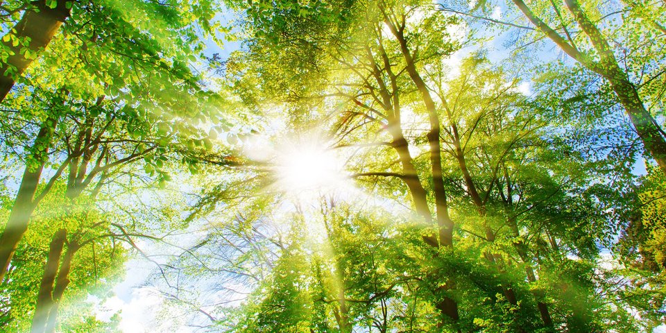 Umweltmanagement Header